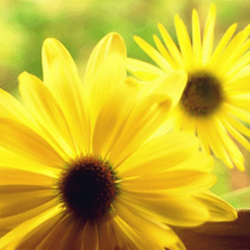 非凡旅游工作室