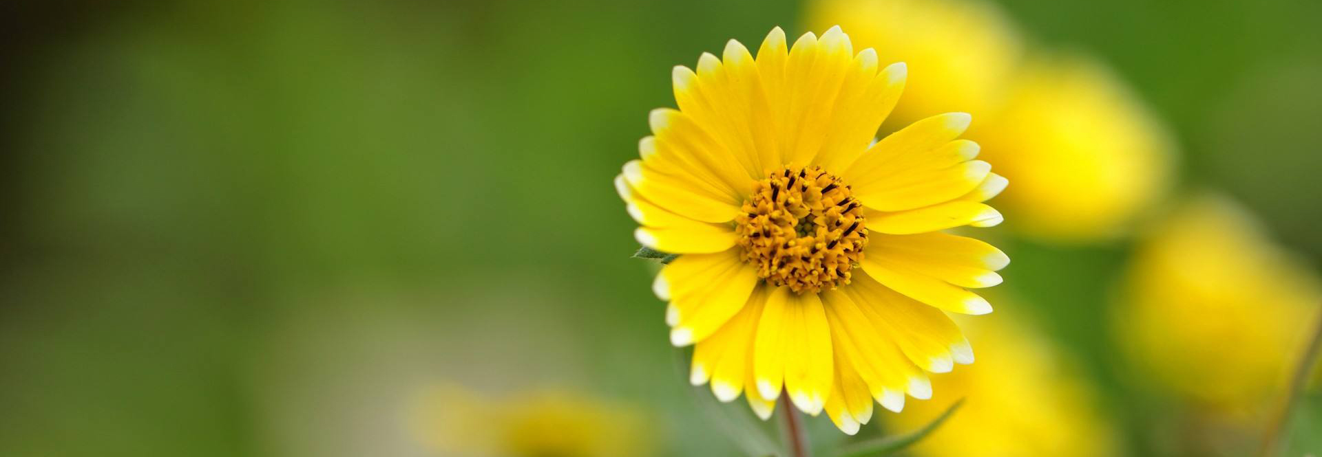 爱游旅游工作室