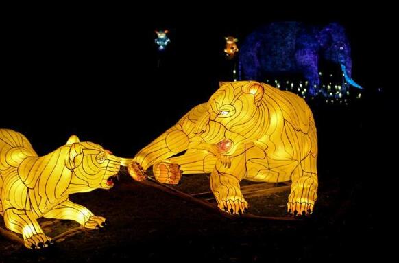 小熊宝贝旅游工作室