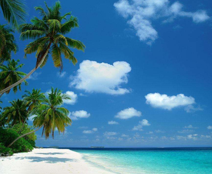 小白旅游工作室