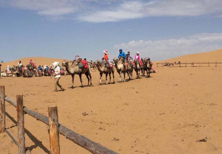 伊伊旅游工作室