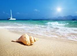 路游旅行社旅游工作室