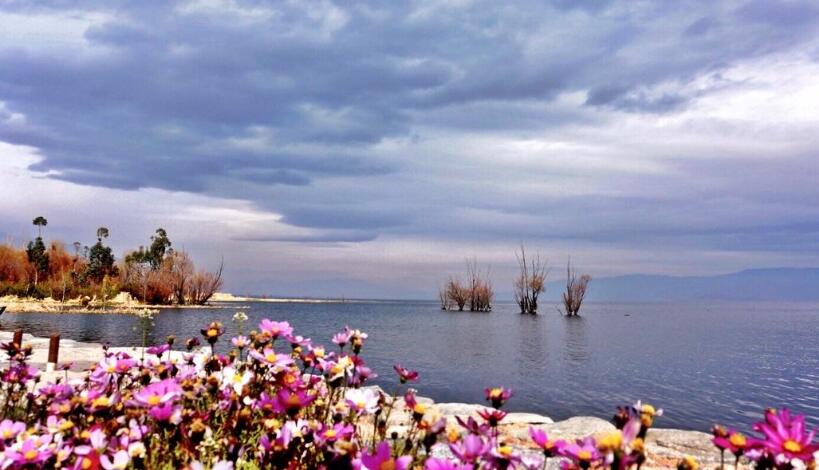 吕游旅游工作室