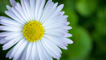 俸伯店中裕国旅东哥旅游工作室